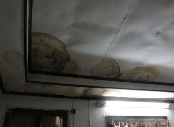 ppr水管漏水怎么辦？告訴你最有效正確的解決方式