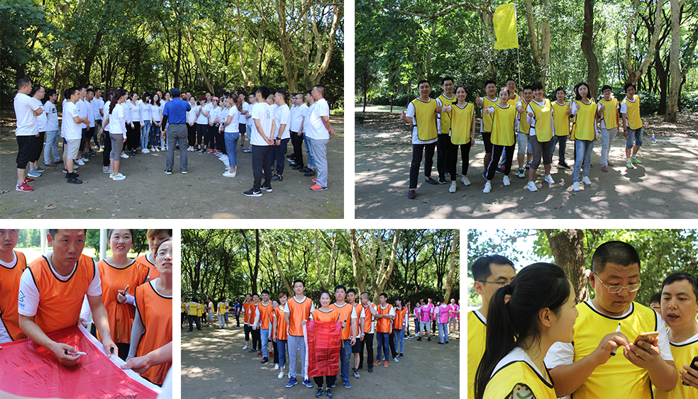 龍勝管拓展訓練燃爆夏日，我們“激情不減，活力無限”